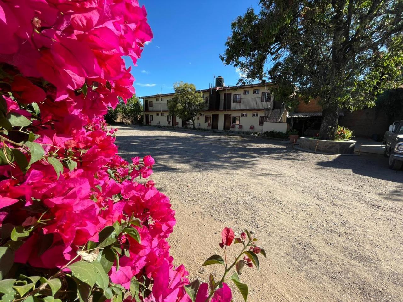 Meson La Huerta Hotel Mascota Luaran gambar
