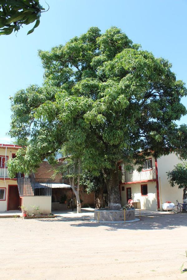 Meson La Huerta Hotel Mascota Luaran gambar